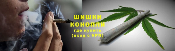 гидра Алексин