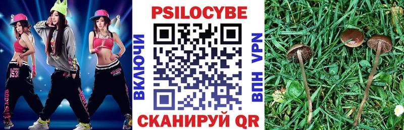 blacksprut маркетплейс  Дмитриев  Псилоцибиновые грибы ЛСД  закладка 